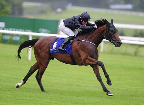 Fields Of Athenry will take his chance
