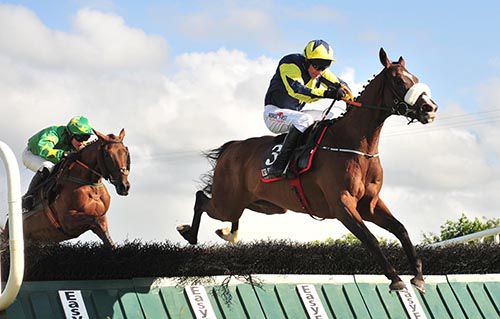 The Scourge leads from Emmy Lou in Kilbeggan