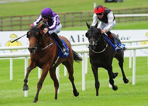 Shogun powers away from Sunglider in the Curragh