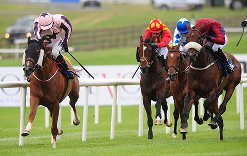 Tooreen Legend, left, fends off his rivals in the Curragh