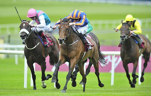 Wedding Vow winning at the Curragh