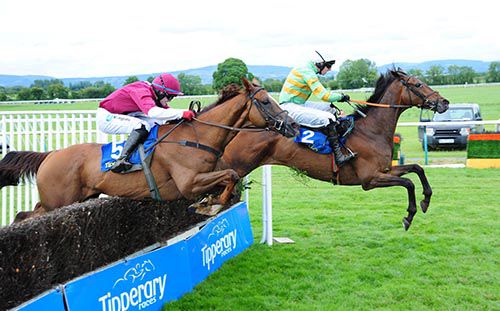 Coldstonesober challenges Gallant Tipp at the last in Tipperary