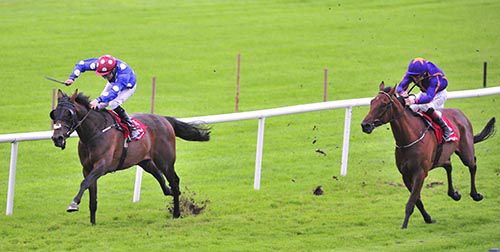 The Compeller sees it out well under 'Dusty' Foley to hold The Last Marju and Pat Smullen