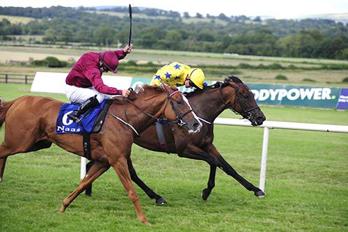 Letters of Note and Pat Smullen beat Byzantium