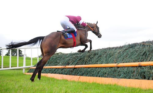 The Game Changer jumps a fence on his way to victory under Davy Russell