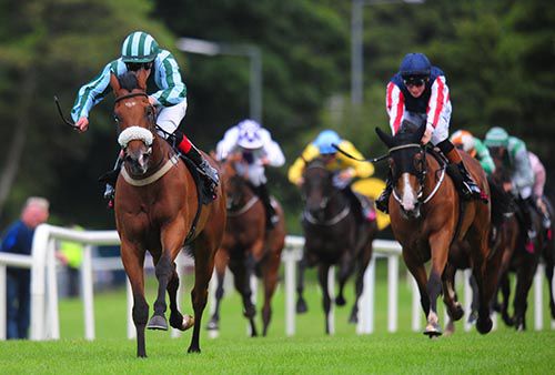 Three Colours Red, left, takes charge in Sligo