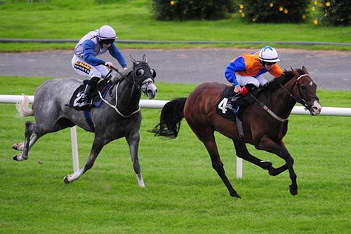 Plough Boy and Robbie Downey lead home Angel Of Joy and Colin Keane