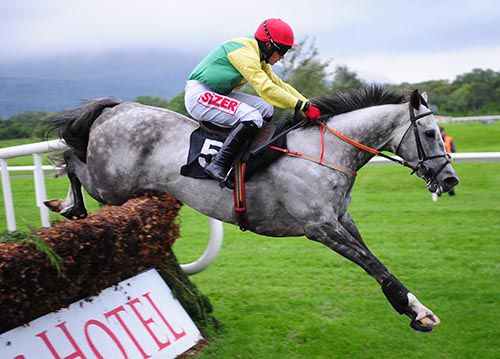 Viconte Du Noyer pictured on his way to victory