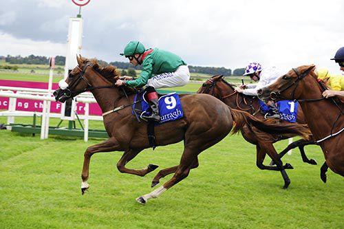 Zalfana leads them home in the opener at the Curragh