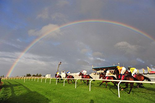 A lovely image from Benkei's race at Bellewstown