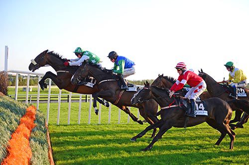 Abarta, far side, jumps the first in Galway