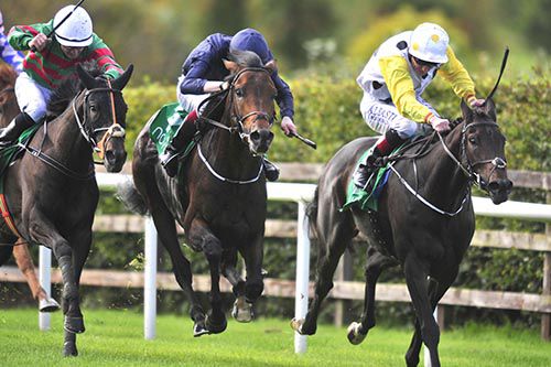 Giant Redwood and Joseph O'Brien (navy colours, centre)