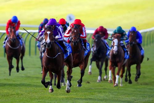 Minding leads them home at Newmarket