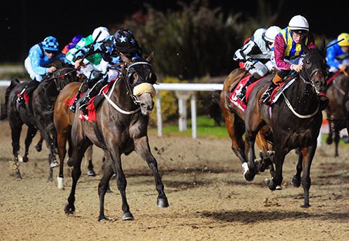 Skerray Rules, left, swoops to conquer in Dundalk