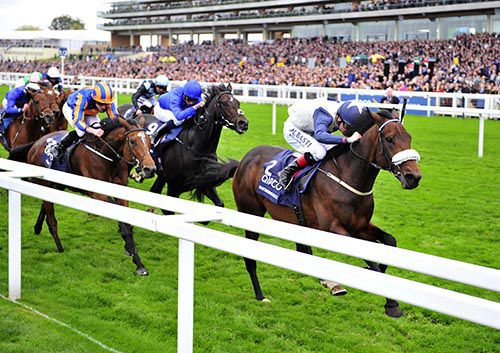 Fascinating Rock and Pat Smullen see off their rivals in Ascot 