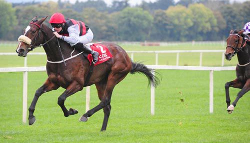 Cailin Mor stretches away to win in Cork