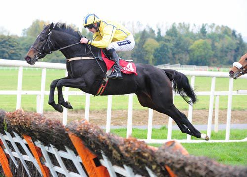 Westerner Lady and Ruby Walsh team up to win in Cork