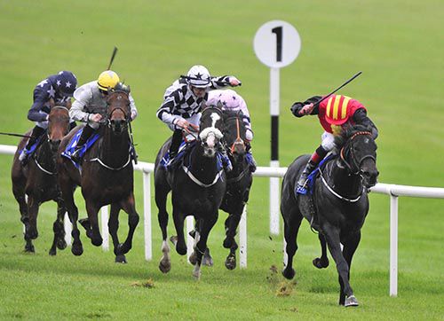 Sevenleft and Pat Smullen in charge at Naas