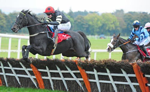Wate And Sea jumps the last in front at Cork