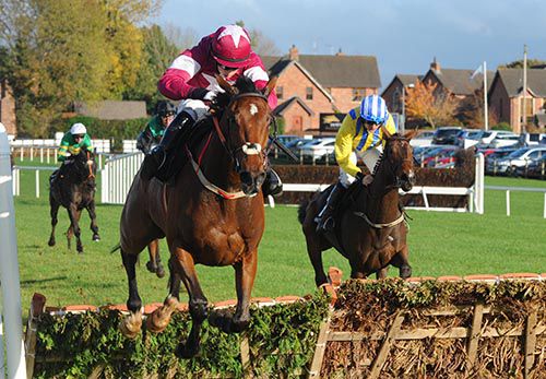 Identity Thief is a leading Champion Hurdle contender