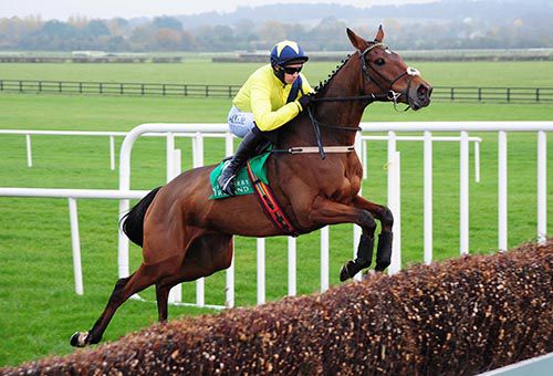 Velvet Maker puts in a great leap at Naas
