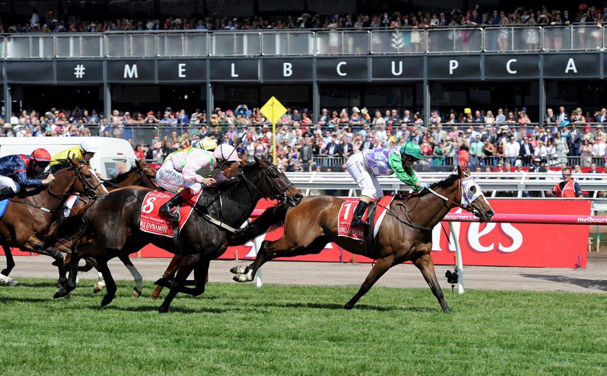 Max Dynamite finishing 2nd in 2015 Melbourne Cup