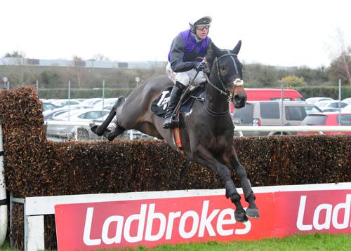 Ttebbob and Robbie Power put in another fine leap at Thurles