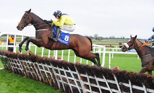 Blue Hell will take his chance in the County Hurdle