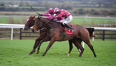 Tamlough Boy, near side, pips Blow By Blow in Punchestown
