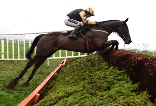 The Willie Mullins-trained Black Hercules