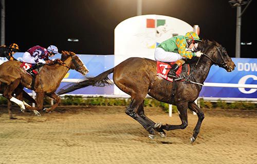 Gold Not Silver leads them home in Dundalk 