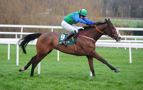 Winsome Bucks strides away in the bumper at Foxrock