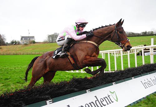 The Willie Mullins-trained Dicosimo