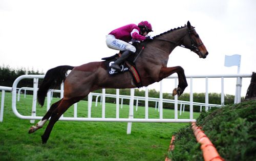 Don Poli is a sound jumper