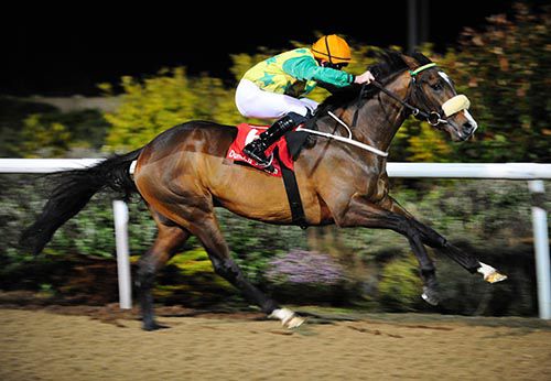 Roman Impero in the clear at Dundalk