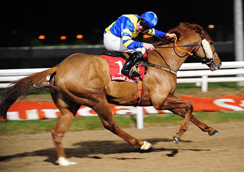 Excelli in full stride at Dundalk
