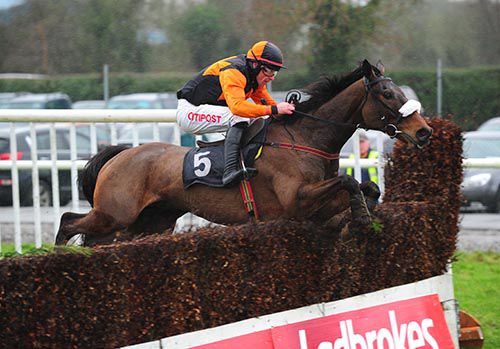 Montys Meadow completes a double for Davy Russell