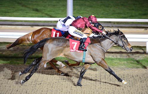 Russet, near side, holds off Touch Of Gold in Dundalk