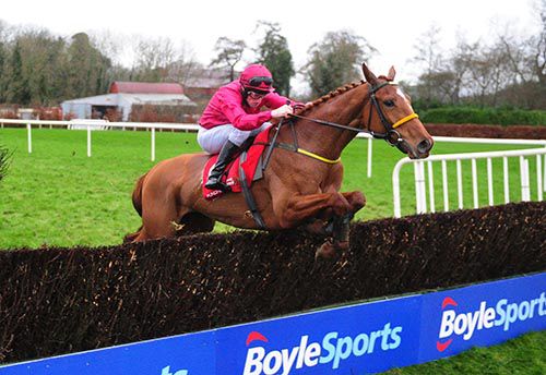 Another good leap from Bonny Kate under Sean Flanagan