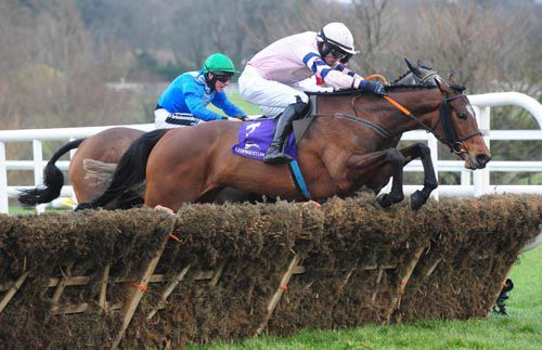 Sean McDermott winning on Who's That at Leopardstown in January