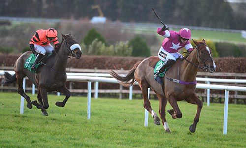 Blow By Blow the only favourite to win at Navan