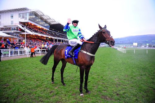 Ballyalton pictured after winning at the Cheltenham Festival in 2016