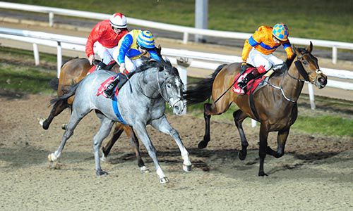 Drillmaster (grey horse, Fran Berry up) comes through to win