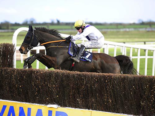 Solita and Paul Townend in action at Fairyhouse