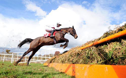 Theatre Princess and Chris O'Donovan pictured on their way to victory