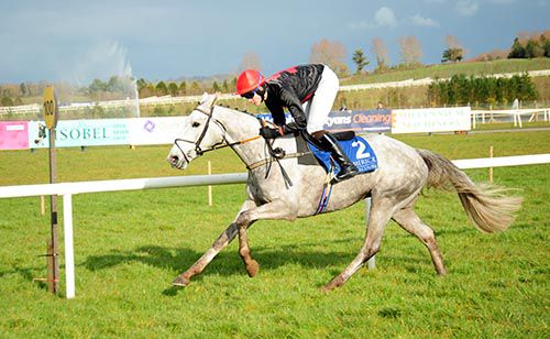 Without Limites comes home a facile winner under Finian Maguire