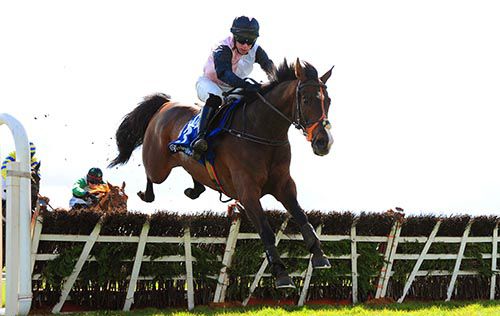 Candlestick leads them home in Fairyhouse