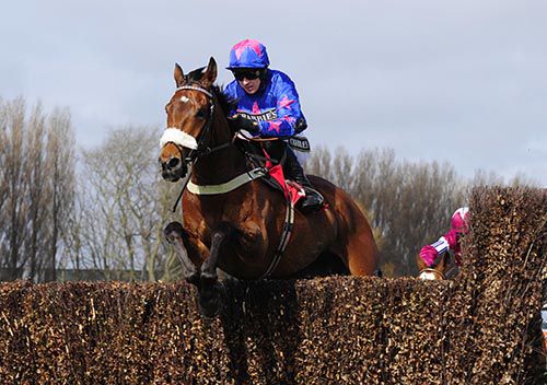 Cue Card and Paddy Brennan were impressive winners at Aintree