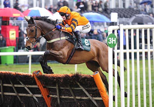 Thistlecrack and Tom Scudamore
