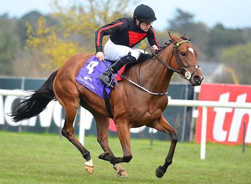 Jet Setting and Shane Foley dominate at Leopardstown